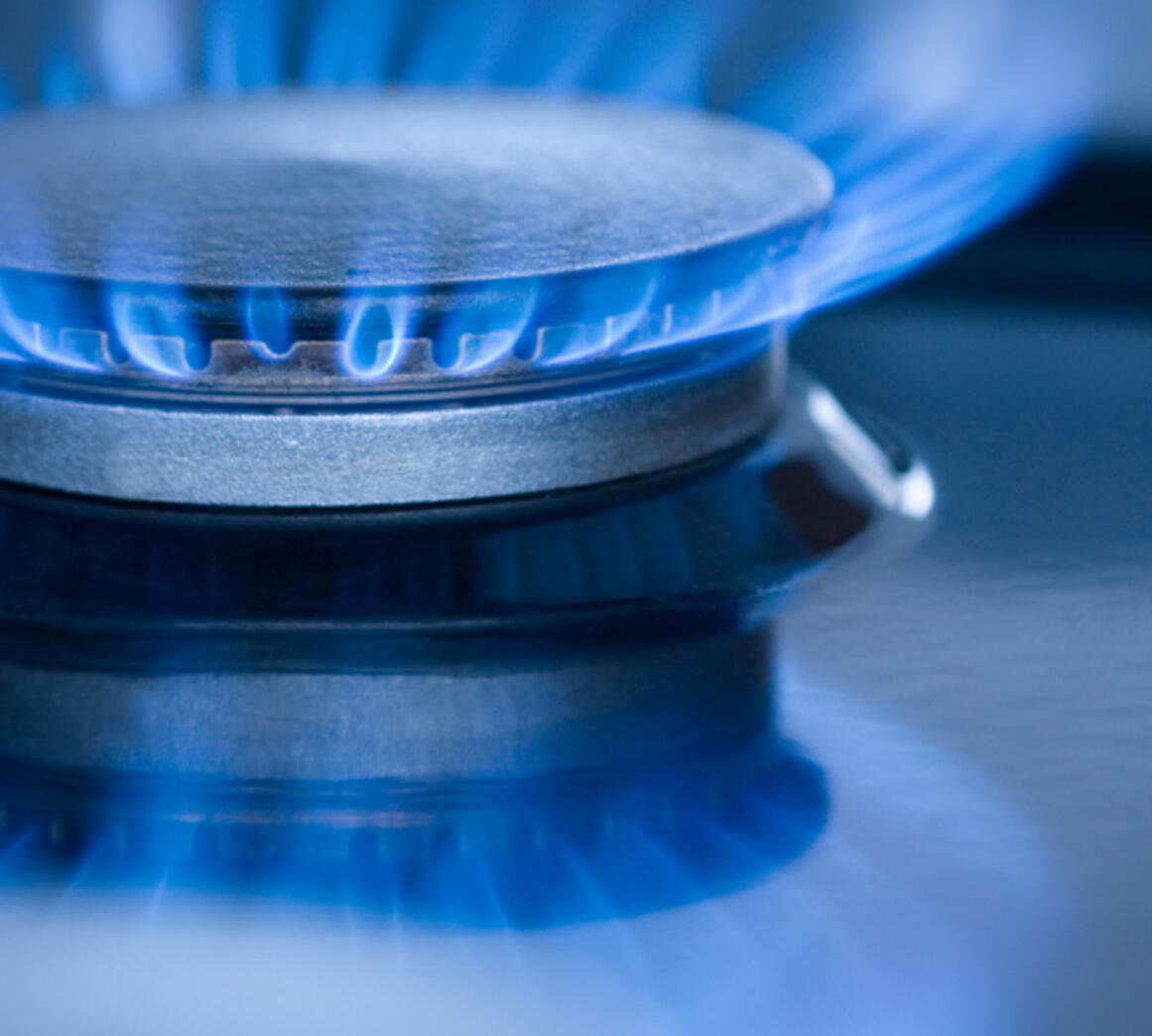 Gas boiler servicing